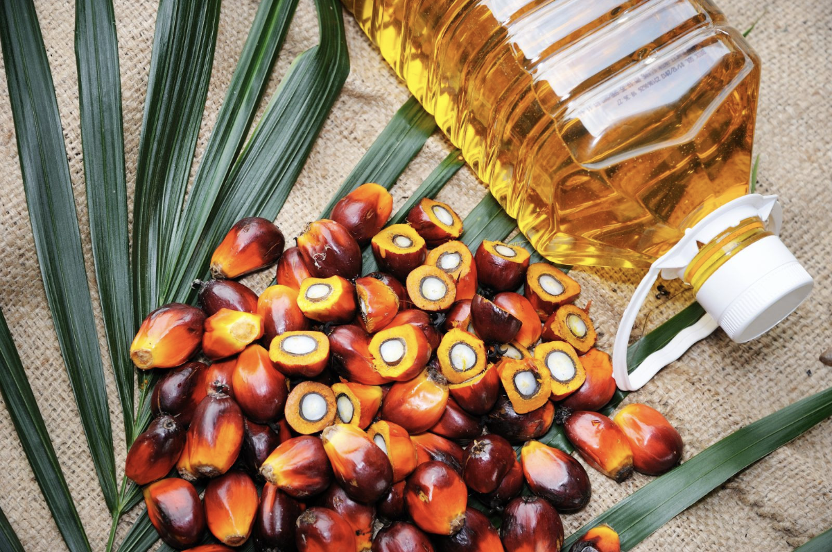 Palm Oil